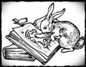 A Rabbit in the Library